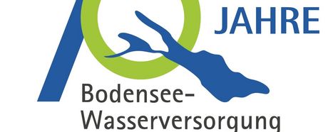 Gemeinsam unterwegs für unser Wasser – Bodensee-Wasser-Lauf 2025