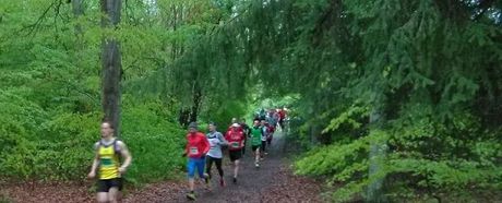 Lauftipp für die Urlaubszeit: Trailrunning im Naturpark Schönbuch – Bewegung in ihrer schönsten Form
